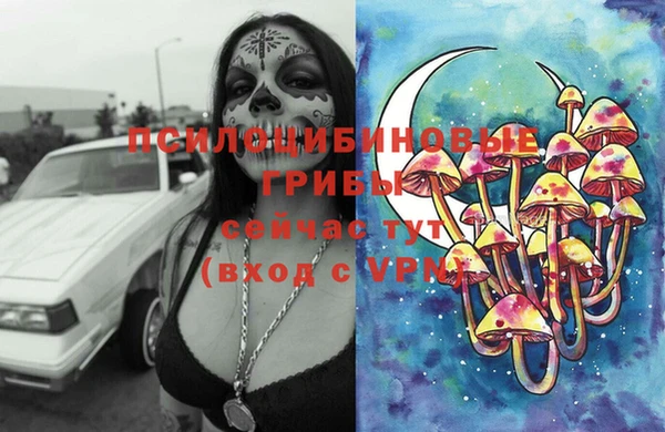 дурь Костерёво