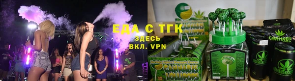тгк Медногорск