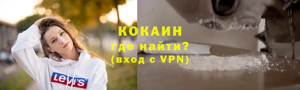 СК Медвежьегорск