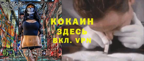 СК Медвежьегорск