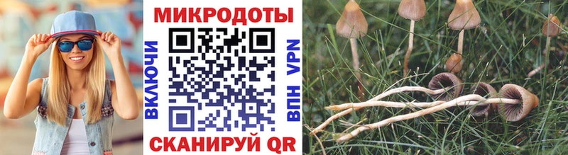 Галлюциногенные грибы Magic Shrooms  Новая Усмань 
