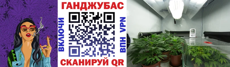 Шишки марихуана конопля  мега рабочий сайт  Новая Усмань 